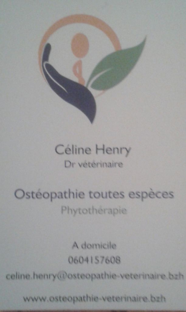 Des Rives De Guerlédan - Osthéopathie et phytothérapie